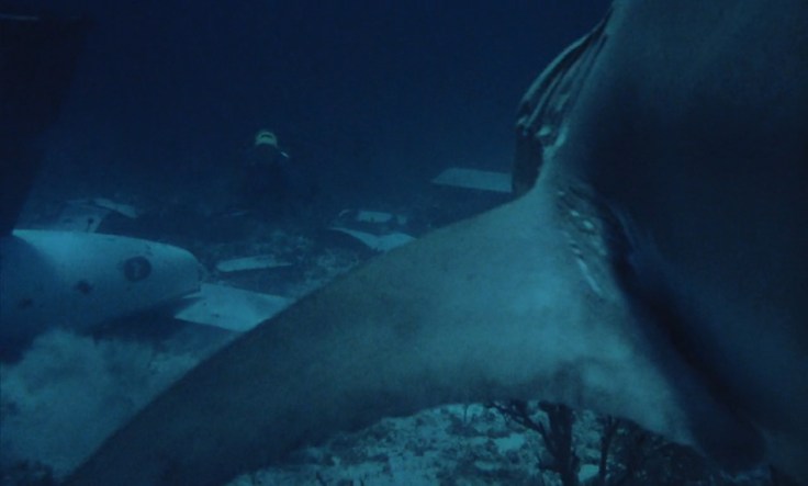 Sharkvision! A shot from "Night of the Sharks" (1988)