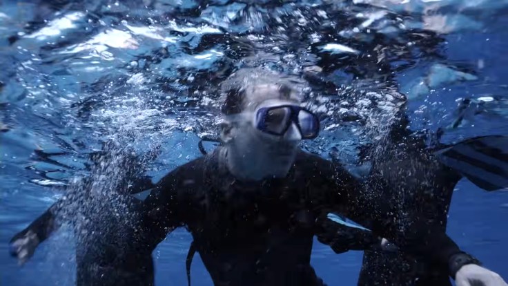 Still from "The Reef" (2010)