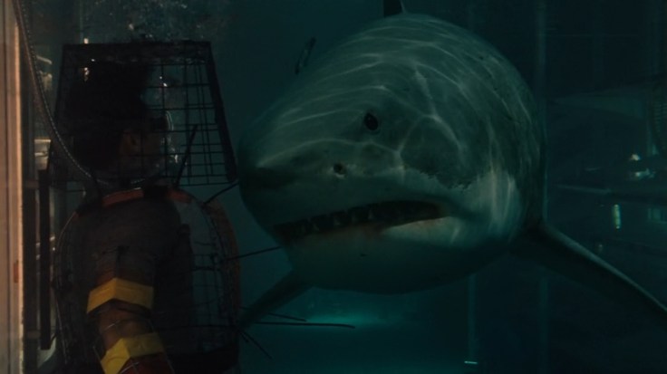 Still from "Bait" (2012)