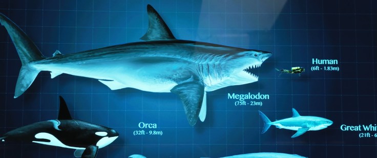 Screenshot from "The Meg" (2018)